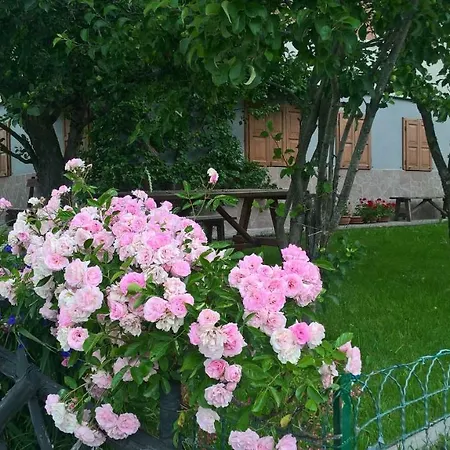 Alpen Garten