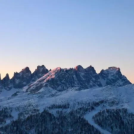 Alpen Garten * Falcade