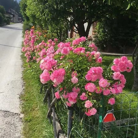 Alpen Garten * Falcade